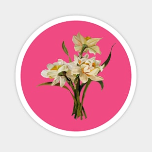 Double Narcissi Spring Flower Daffodil Bouquet Cut Out Magnet